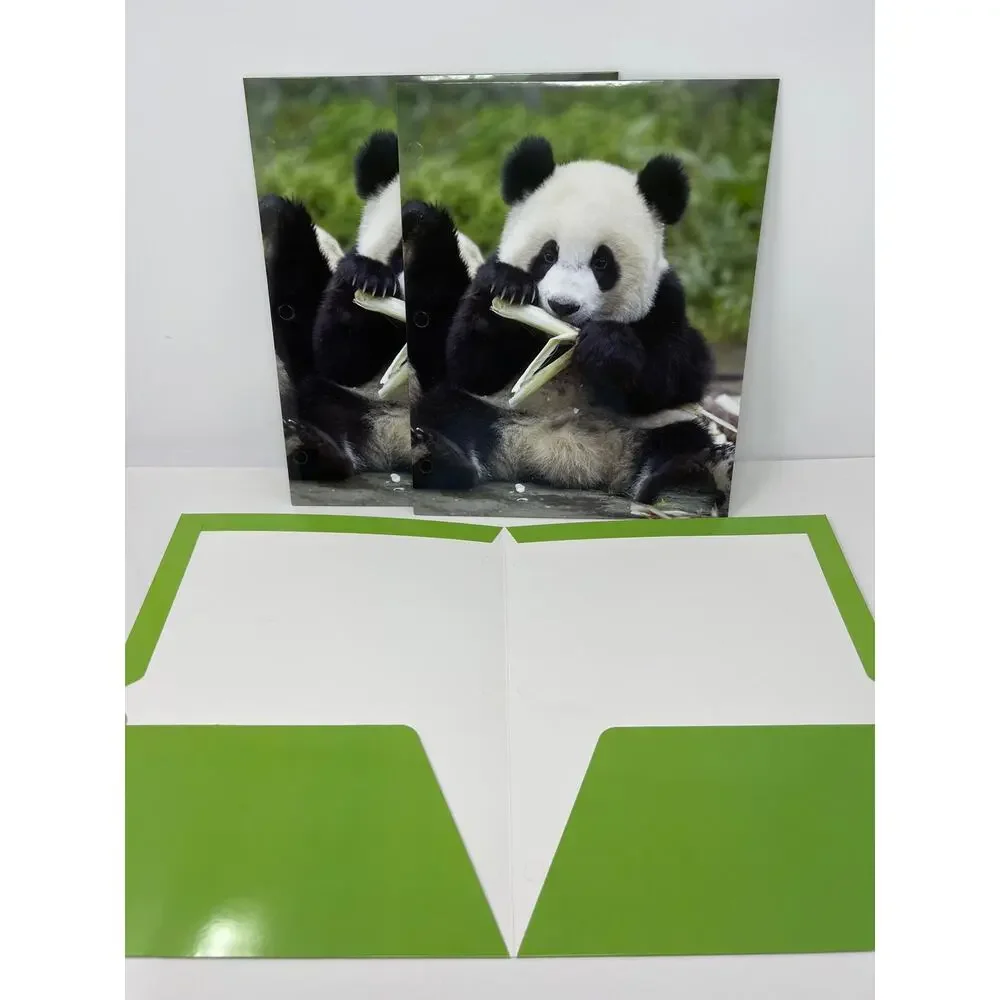 Panda Bear Presentation File Folders Set of 3 NEW